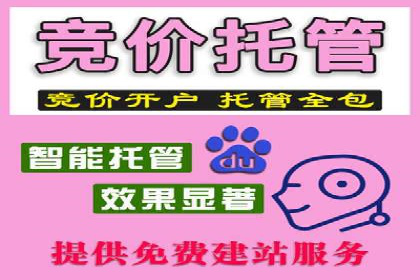 SEM竞价开户实操指南：经典案例解读